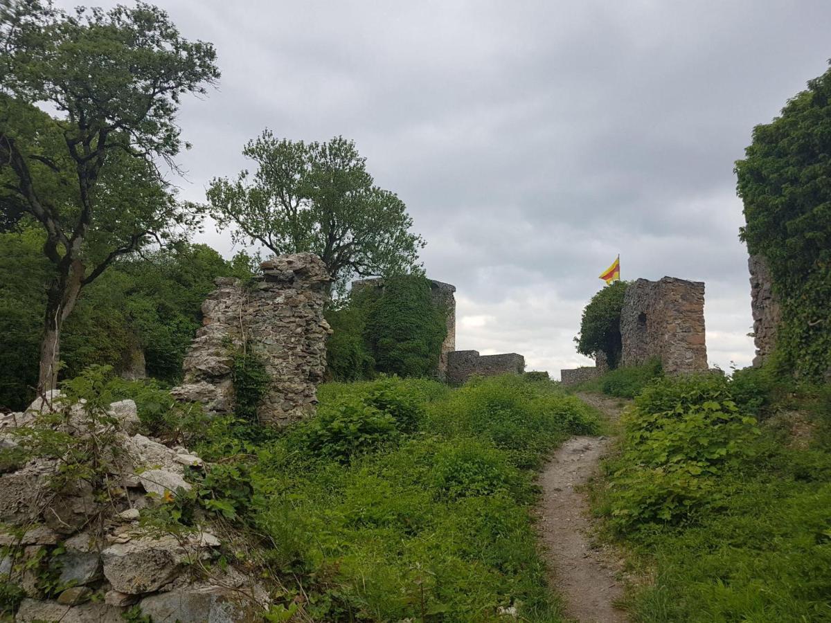 Muhlhausen-Ehingen Ferienwohnung Hegau- Bodensee Og מראה חיצוני תמונה